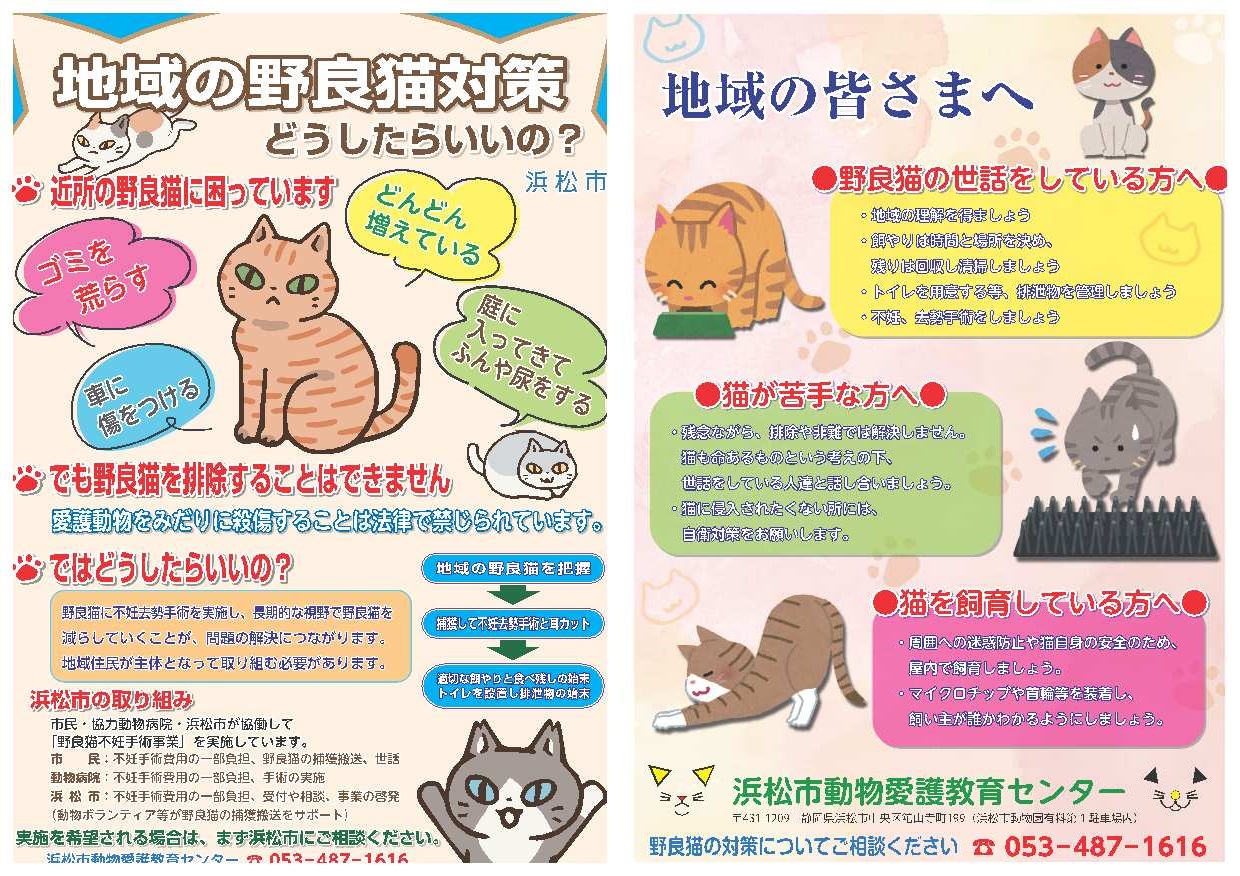 地域の野良猫対策チラシ