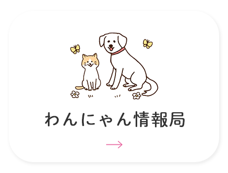 わんにゃん情報局